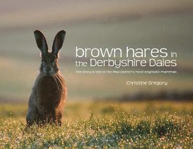 bokomslag Brown Hares in the Derbyshire Dales