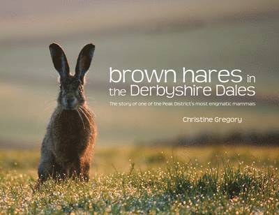 Christine Gregory - Brown Hares in the Derbyshire Dales, Häftad