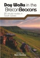 bokomslag Day Walks in the Brecon Beacons