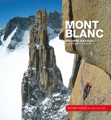 Mont Blanc 1