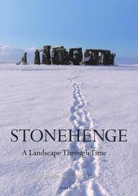 bokomslag Stonehenge: A Landscape Through Time