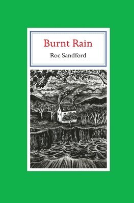 bokomslag Burnt Rain