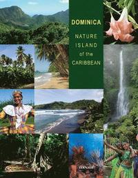 bokomslag Dominica: Nature Island of the Caribbean - Second Edition