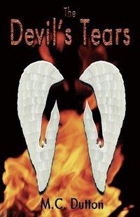 bokomslag The Devil's Tears