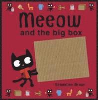 Sebastien Braun - Meeow and the Big Box, Inbunden