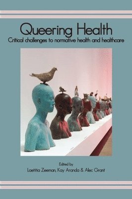 bokomslag Queering Health