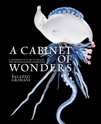 Cabinet of Wonders 1