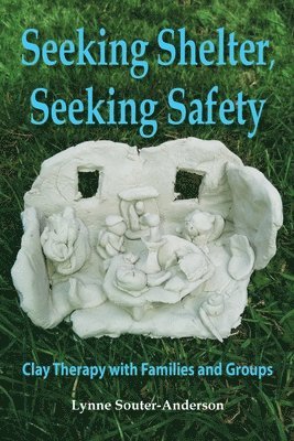Lynne Souter-Anderson - Seeking Shelter, Seeking Safety, Häftad