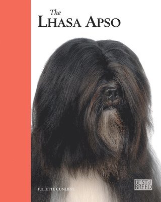 Lhasa Apso