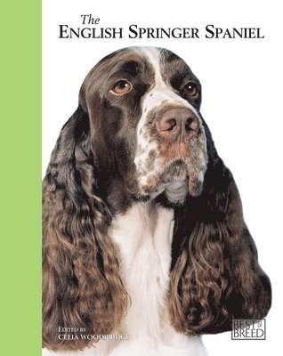 Celia Woodbridge - English Springer Spaniel, Inbunden