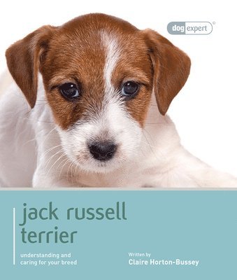 Claire Horton Bussey - Jack Russell Terrier - Dog Expert, Häftad
