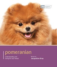 bokomslag Pomeranian - Dog Expert
