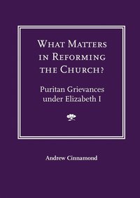 bokomslag What Matters in Reforming the Church? Puritan Grievances Under Elizabeth I