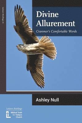 Ashley J Null, Ashley J. Null - Divine Allurement, Häftad