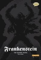 Mary Wollstonecraft Shelley - Frankenstein The Graphic Novel, Häftad