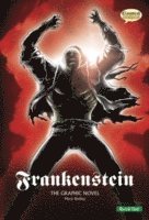 Mary Shelley - Frankenstein The Graphic Novel, Häftad