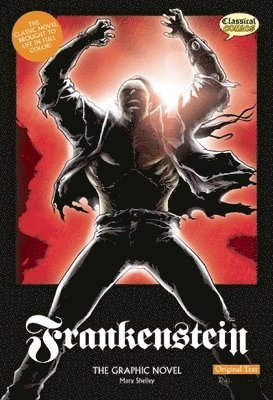 bokomslag Frankenstein the Graphic Novel: Original Text