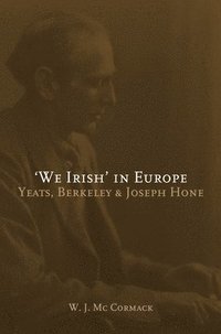 bokomslag We Irish' in Europe