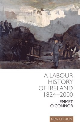 bokomslag Labour History of Ireland 1824-2000