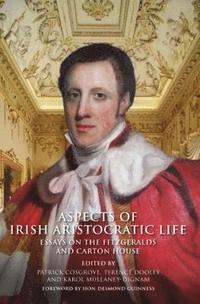 bokomslag Aspects of Irish Aristocratic Life