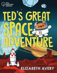 bokomslag Ted's Great Space Adventure