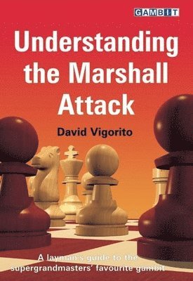 David Vigorito - Understanding the Marshall Attack, Häftad