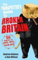 Andrew Holmes - Painspotter's Guide to Broken Britain, Häftad