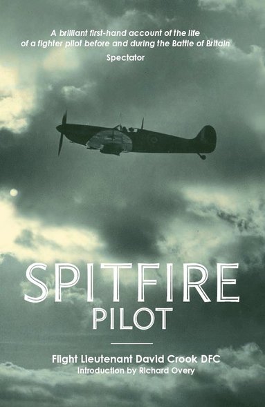 bokomslag Spitfire Pilot