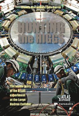 Hunting the Higgs 1