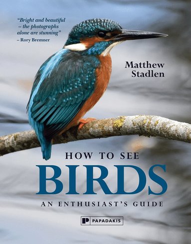 Matthew Stadlen - How To See Birds, Inbunden