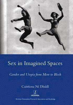 bokomslag Sex in Imagined Spaces