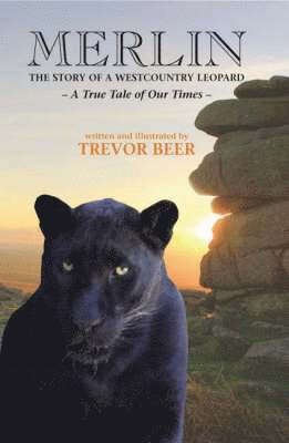 bokomslag Merlin the Story of a Westcountry Leopard