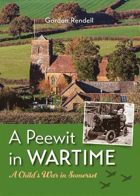 bokomslag A Peewit in Wartime