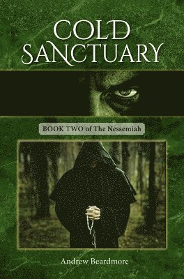 Andrew Beardmore - Cold Sanctuary, Häftad