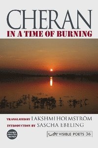 bokomslag In a Time of Burning