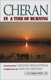 bokomslag In a Time of Burning