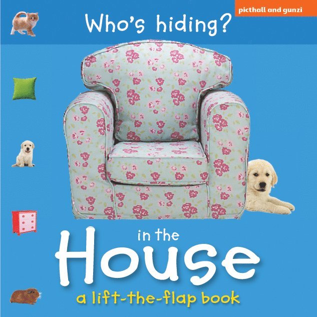 Chez Picthall - Who's Hiding?: In The House, Kartonnage