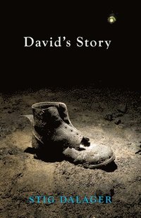 bokomslag David's Story