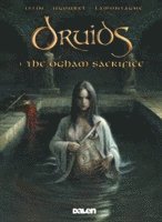 bokomslag Druids: 1. The Ogham Sacrifice