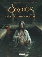 bokomslag Druids 1: The Ogham Sacrifice