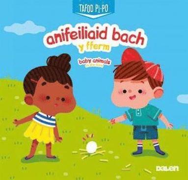 bokomslag Anifeiliaid Bach y Fferm