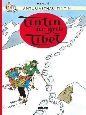 Dafydd Herge - Tintin: Tintin ar Grib Tibet, Häftad