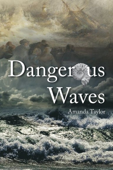 Amanda Taylor - Dangerous Waves, Häftad