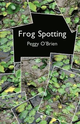 bokomslag Frog Spotting