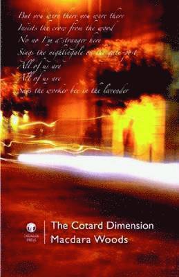 bokomslag Cotard Dimension