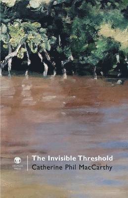 bokomslag Invisible Threshold