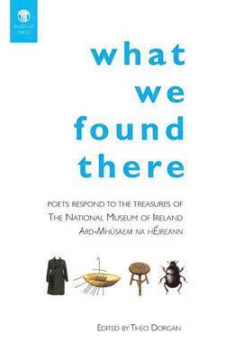 Theo Dorgan - What We Found There, Häftad
