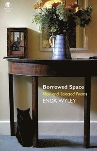 bokomslag Borrowed Space