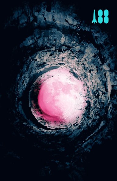 bokomslag Pink Moon, A Story about Nick Drake