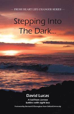 David Lucas - Stepping Into The Dark, Häftad
